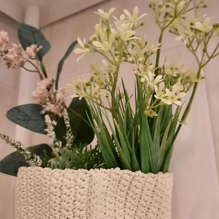 Blife Macaya Private *